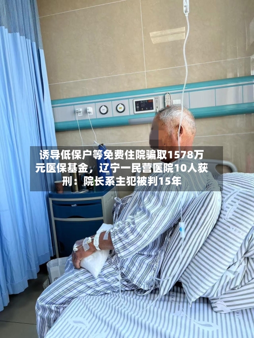 诱导低保户等免费住院骗取1578万元医保基金，辽宁一民营医院10人获刑：院长系主犯被判15年-第2张图片