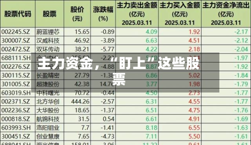 主力资金，“盯上”这些股票