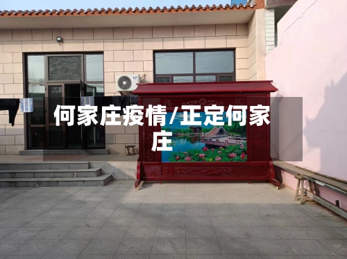 何家庄疫情/正定何家庄