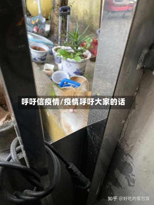 呼吁信疫情/疫情呼吁大家的话