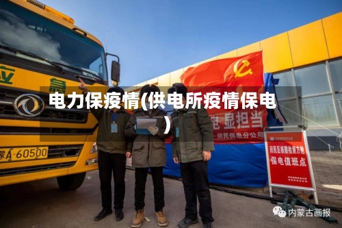 电力保疫情(供电所疫情保电)