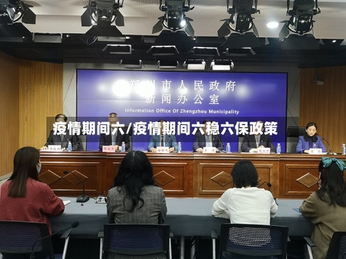 疫情期间六/疫情期间六稳六保政策