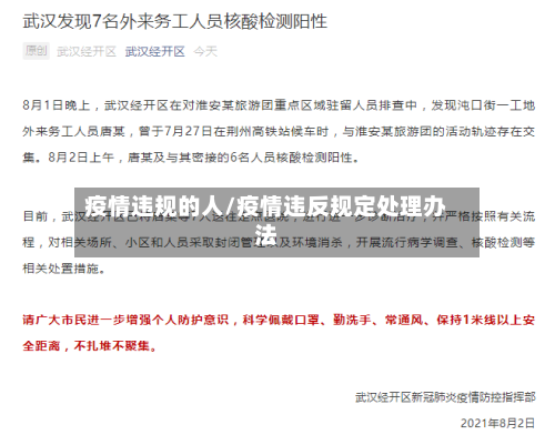 疫情违规的人/疫情违反规定处理办法
