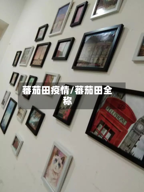 蕃茄田疫情/蕃茄田全称