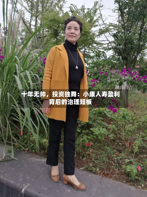 十年无帅，投资独舞：小康人寿盈利背后的治理短板