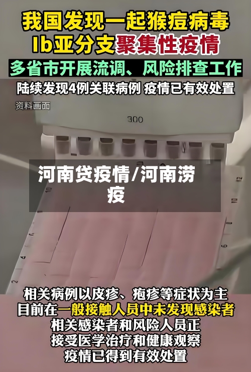 河南贷疫情/河南涝疫
