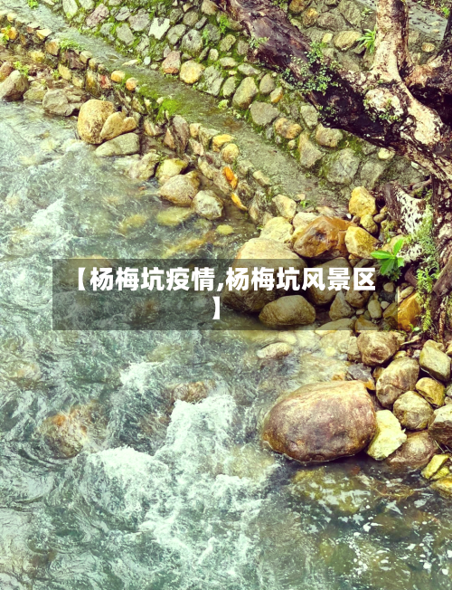 【杨梅坑疫情,杨梅坑风景区】
