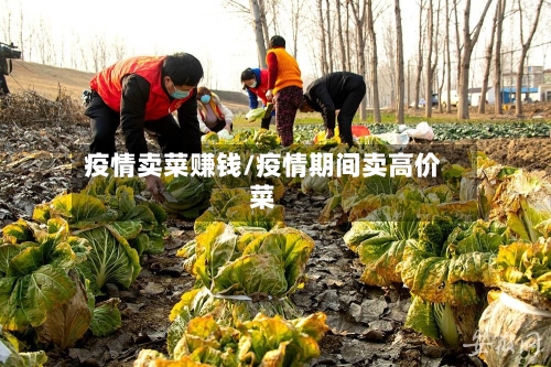 疫情卖菜赚钱/疫情期间卖高价菜