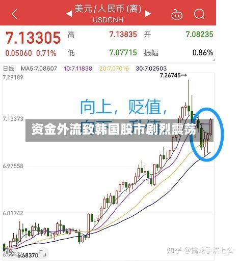 资金外流致韩国股市剧烈震荡