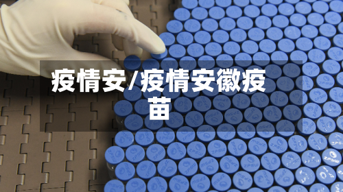 疫情安/疫情安徽疫苗