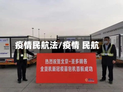 疫情民航法/疫情 民航
