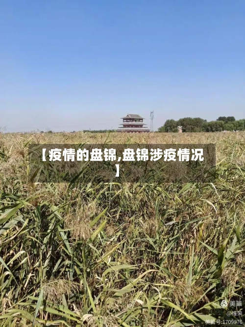【疫情的盘锦,盘锦涉疫情况】