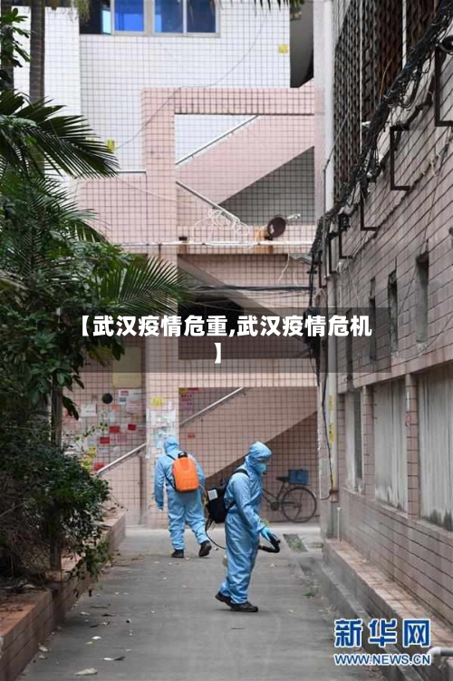 【武汉疫情危重,武汉疫情危机】