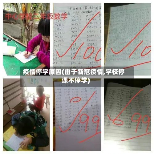 疫情停学原因(由于新冠疫情,学校停课不停学)