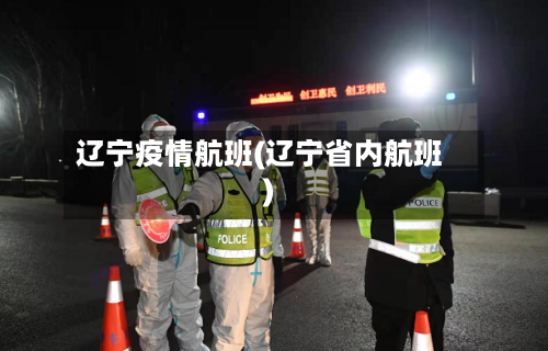 辽宁疫情航班(辽宁省内航班)