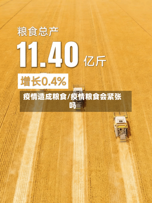 疫情造成粮食/疫情粮食会紧张吗