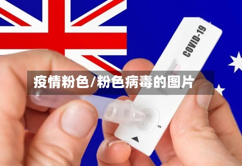 疫情粉色/粉色病毒的图片