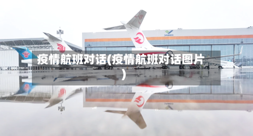 疫情航班对话(疫情航班对话图片)