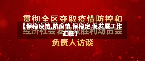 【保稳疫情,防疫情 保稳定 促发展工作汇报】
