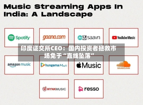 印度证交所CEO：国内投资者拯救市场免于“直线坠落”