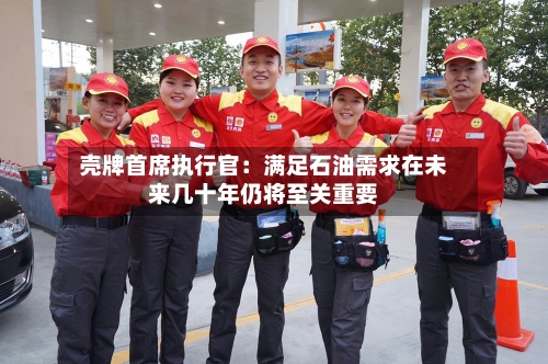 壳牌首席执行官：满足石油需求在未来几十年仍将至关重要