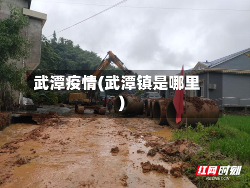 武潭疫情(武潭镇是哪里)
