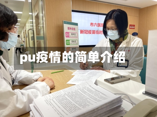 pu疫情的简单介绍