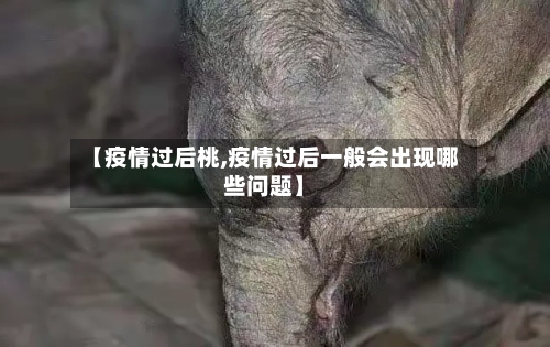 【疫情过后桃,疫情过后一般会出现哪些问题】
