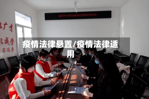 疫情法律悬置/疫情法律适用