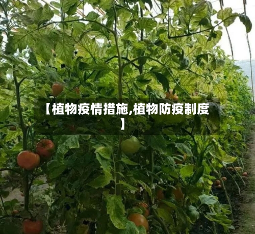 【植物疫情措施,植物防疫制度】