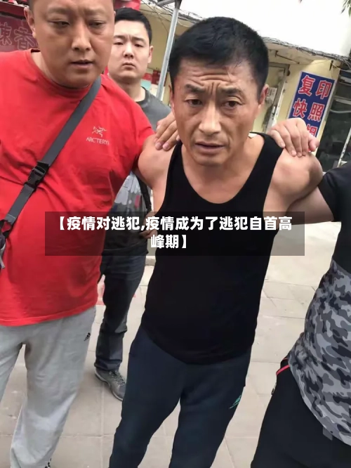 【疫情对逃犯,疫情成为了逃犯自首高峰期】