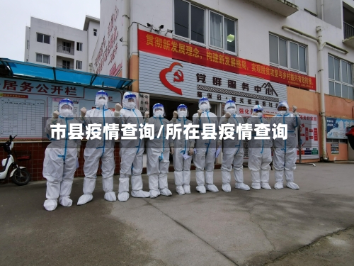 市县疫情查询/所在县疫情查询