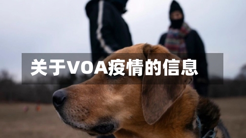 关于VOA疫情的信息