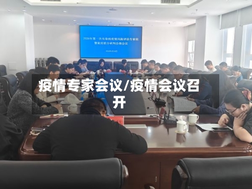 疫情专家会议/疫情会议召开