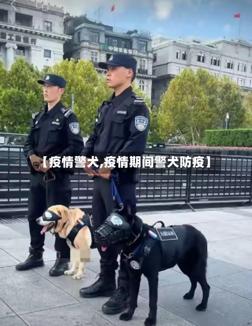 【疫情警犬,疫情期间警犬防疫】