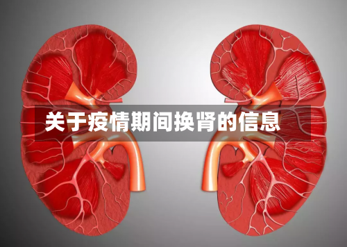 关于疫情期间换肾的信息