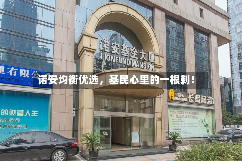 诺安均衡优选，基民心里的一根刺！
