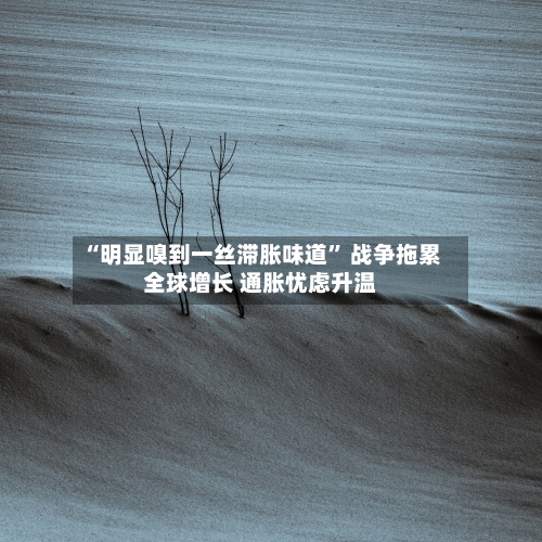 “明显嗅到一丝滞胀味道” 战争拖累全球增长 通胀忧虑升温