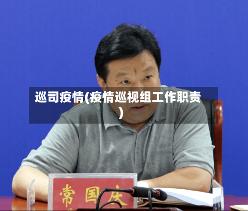 巡司疫情(疫情巡视组工作职责)