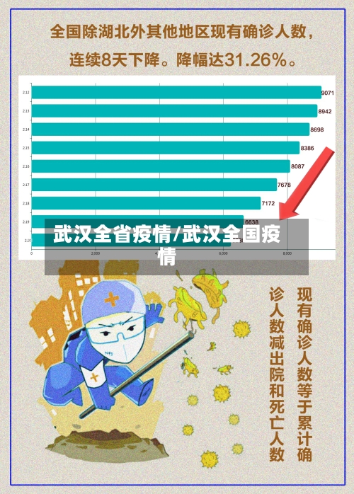 武汉全省疫情/武汉全国疫情