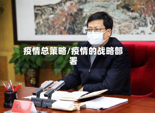 疫情总策略/疫情的战略部署