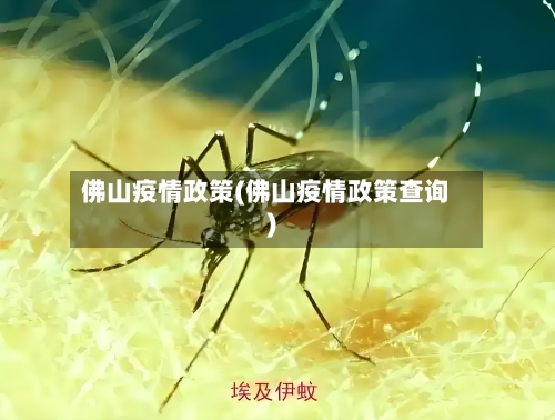 佛山疫情政策(佛山疫情政策查询)
