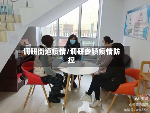 调研街道疫情/调研乡镇疫情防控