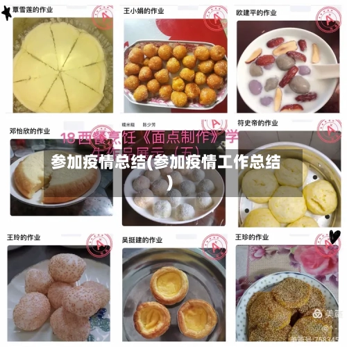 参加疫情总结(参加疫情工作总结)