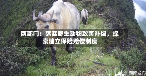 两部门：落实野生动物致害补偿，探索建立保险赔偿制度