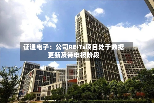 证通电子：公司REITs项目处于数据更新及待申报阶段