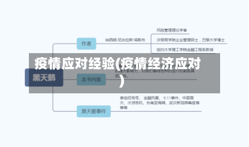 疫情应对经验(疫情经济应对)