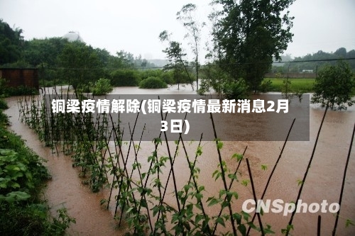 铜梁疫情解除(铜梁疫情最新消息2月3日)