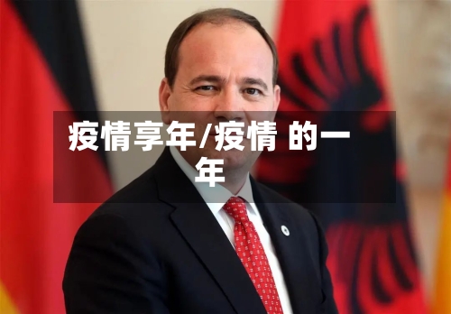 疫情享年/疫情 的一年