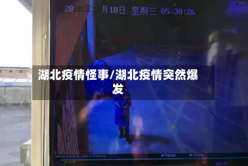 湖北疫情怪事/湖北疫情突然爆发